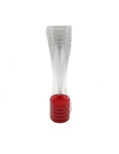 CONF 6 FLUTE PLASTICA BASE ROSSA su TreG Ingrosso