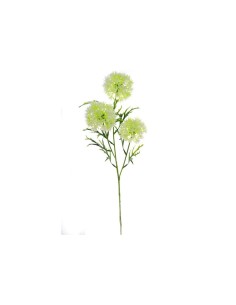 VIBURNUM 4308 X3 ASSORTITO su TreG Ingrosso