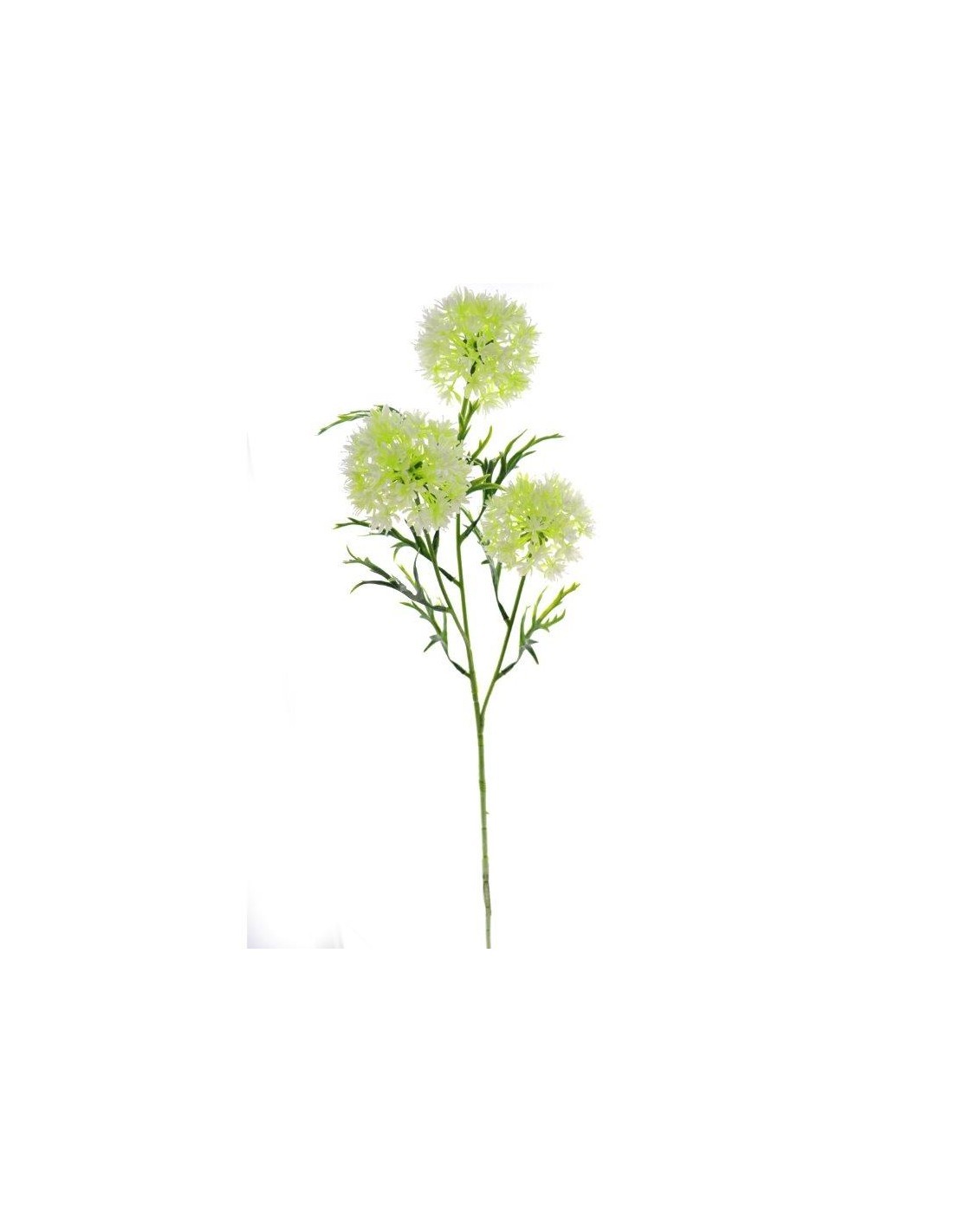 VIBURNUM 4308 X3 ASSORTITO su TreG Ingrosso