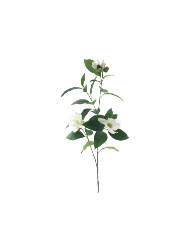 MAGNOLIE 6210 138CM su TreG Ingrosso