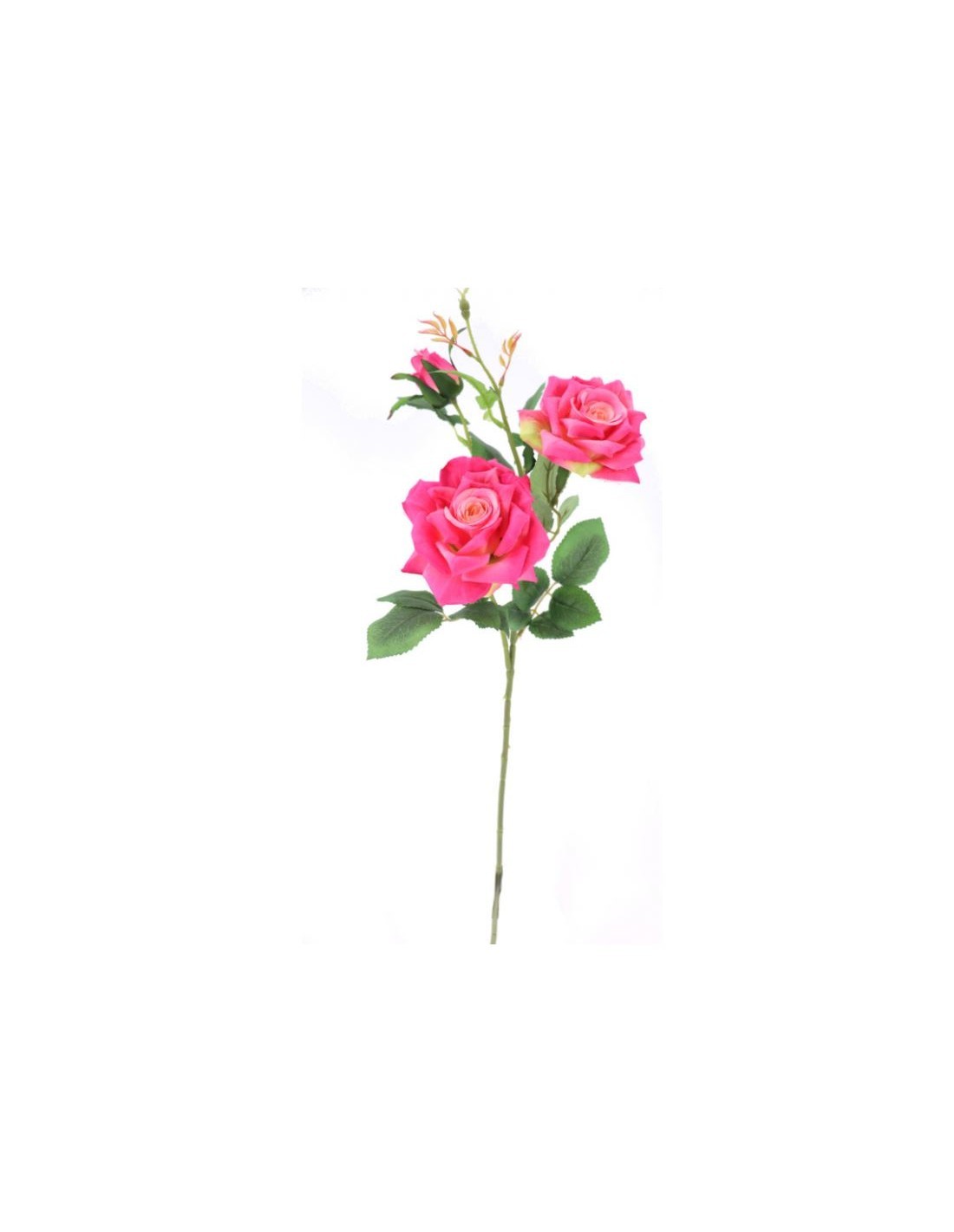 RAMO 2081 3 ROSE CM.65 su TreG Ingrosso