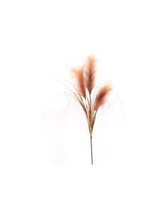PIANTA 7623 ERBA DI PAMPAS GIALLO su TreG Ingrosso