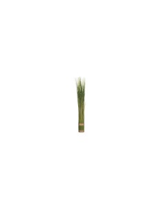 PIANTA 103095 FASCIO ERBA VERDE 35X79CM su TreG Ingrosso