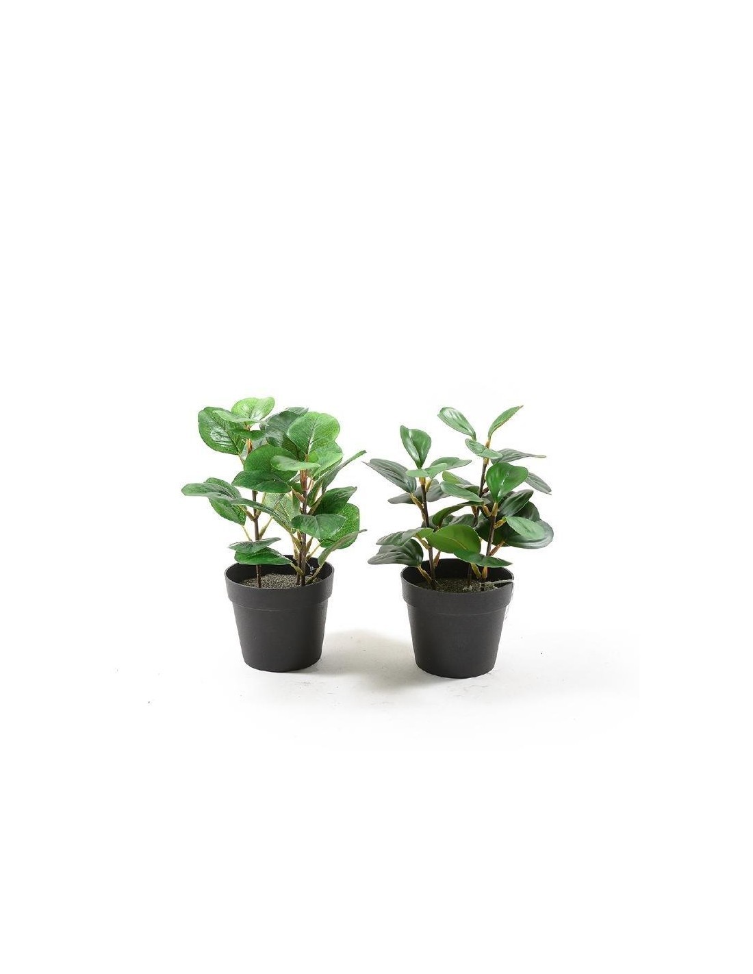 PIANTA 11292 VASO PLASTICA 23CM ASSORTITO su TreG Ingrosso