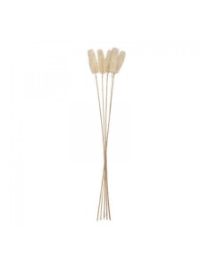 BOUQUET 168679 FIORI SECCHI 78CM ASSORTITO su TreG Ingrosso