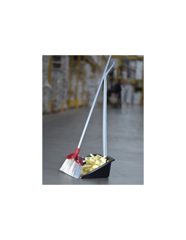 RACCOGLISPORCO 10032 PROFESSIONAL CON MANICO su TreG Ingrosso