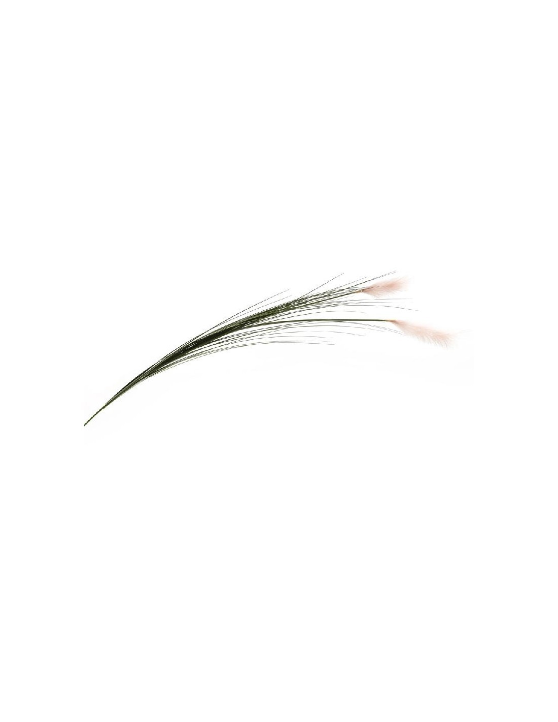 PICK 14439 PAMPAS 160CM DUE TESTE ROSA su TreG Ingrosso
