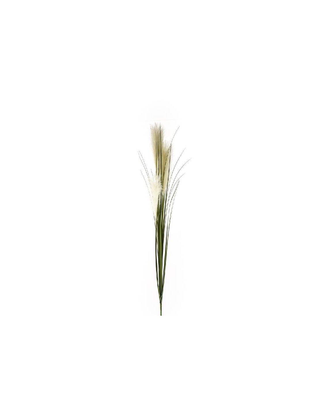 PICK 14446 PAMPAS 120CM 3 TESTE AVORIO su TreG Ingrosso