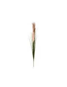 PICK 14453 PAMPAS 120CM 3 TESTE su TreG Ingrosso