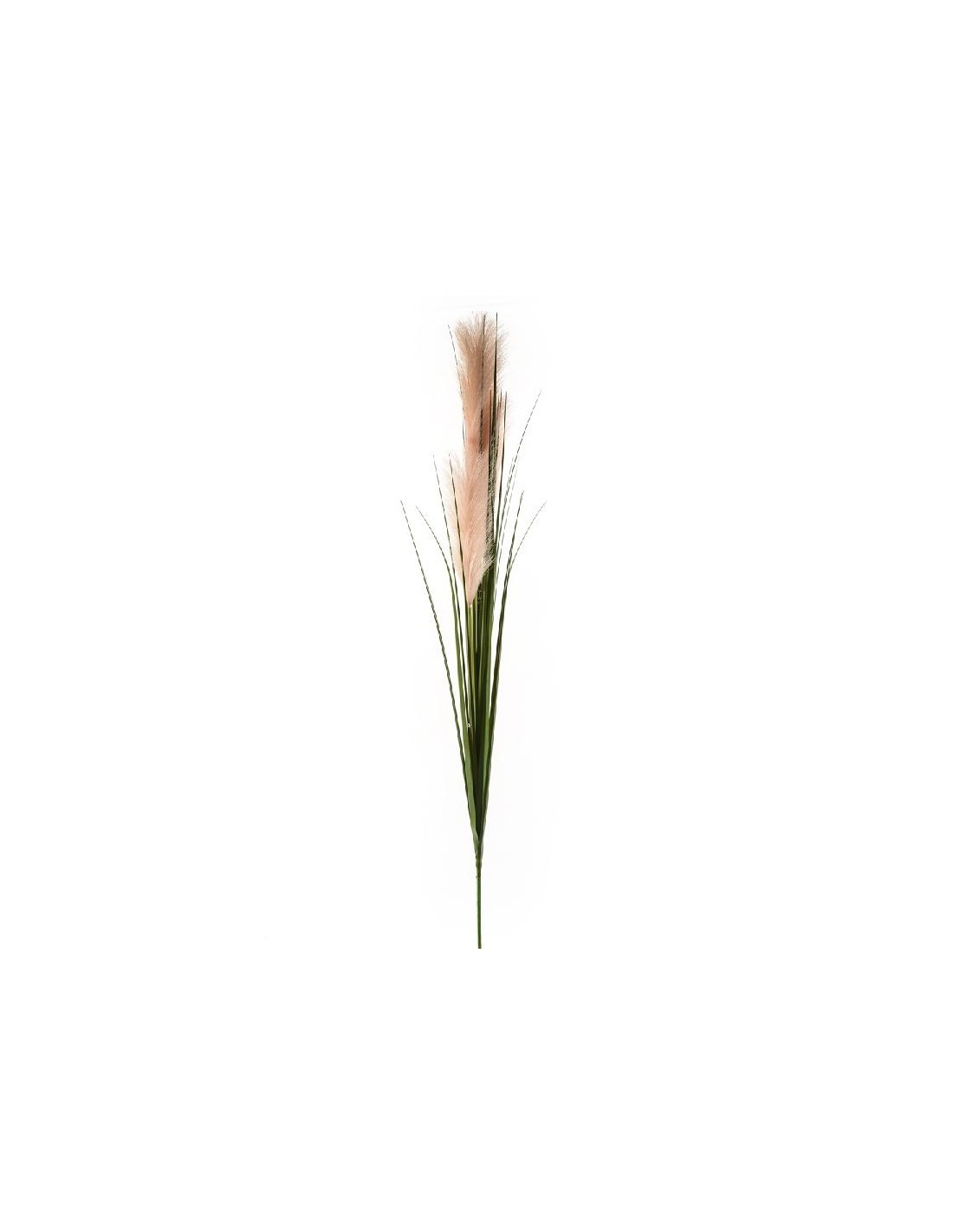PICK 14453 PAMPAS 120CM 3 TESTE su TreG Ingrosso