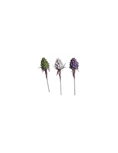 PIANTA 68595 PITAYA 90CM COLORI ASSORTITI su TreG Ingrosso