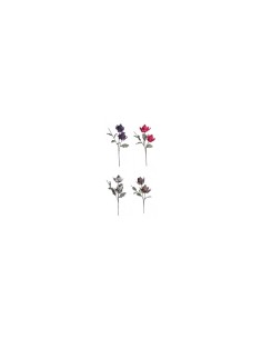 PIANTA 68601 PROTEA PRINCE 2 FIORI 109CM ASSORTITO su TreG Ingrosso