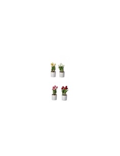 TULIPANI 74877 CON VASO 14X33CM ASSORTITO su TreG Ingrosso