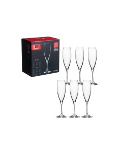 INVINO CONF 6 CALICI FLUTE 24CL su TreG Ingrosso 2