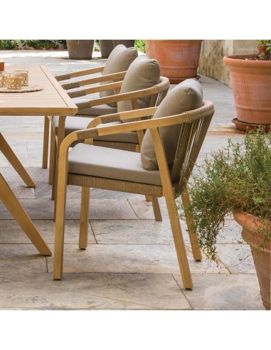 POLTRONA 165345 PAPUASIA TORTORA su TreG Ingrosso