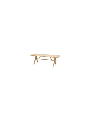 TAVOLO 171145 PAPUASIA 220X100X75CM LEGNO su TreG Ingrosso