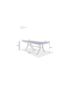 TAVOLO 171145 PAPUASIA 220X100X75CM LEGNO su TreG Ingrosso