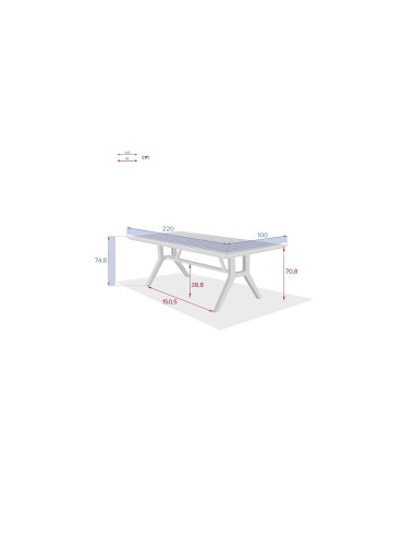 TAVOLO 171145 PAPUASIA 220X100X75CM LEGNO su TreG Ingrosso