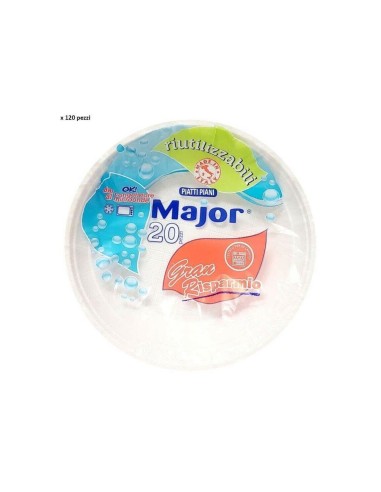 CONF 20PZ PIATTO PIANO RIUTILIZZABILE su TreG Ingrosso