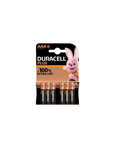 DURACELL BL 6 PILE MINISTILO AAA su TreG Ingrosso