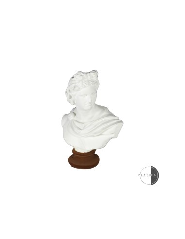 MEZZO BUSTO BIANCO PORTAFIORE H15CM RESINA