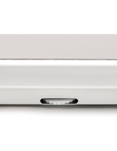 PESAPERSONA G30048 MECCANICA 130KG/1KG su TreG Ingrosso