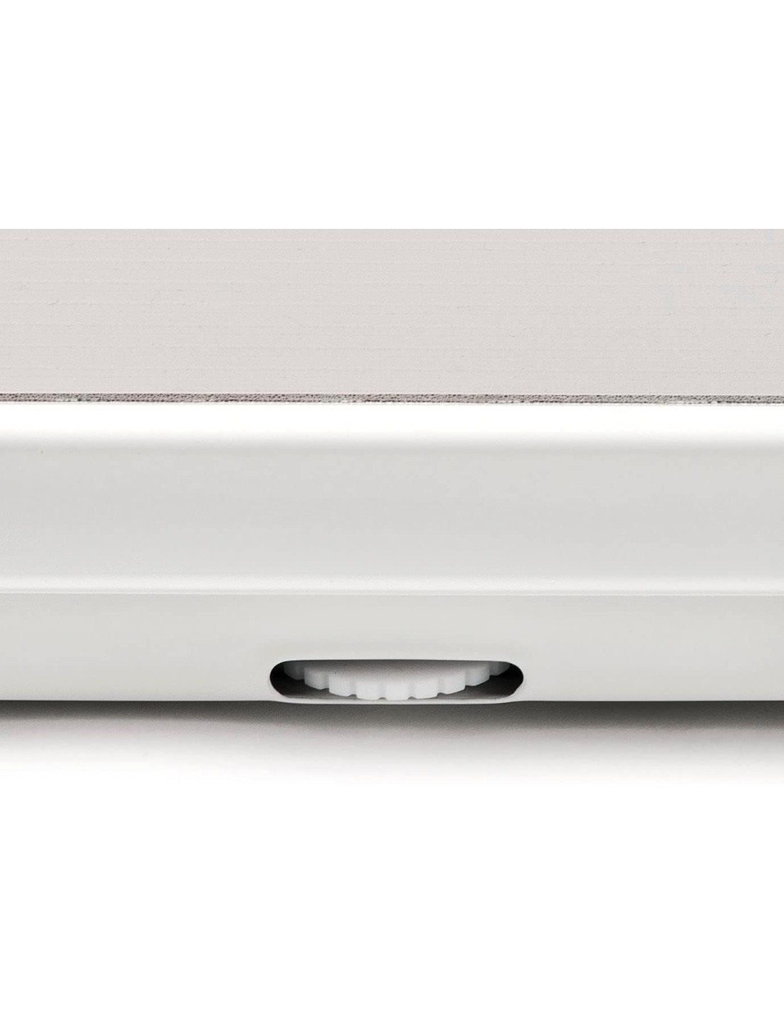 PESAPERSONA G30048 MECCANICA 130KG/1KG su TreG Ingrosso