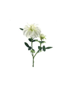 DAHLIA 6818 ASSORTITO su TreG Ingrosso