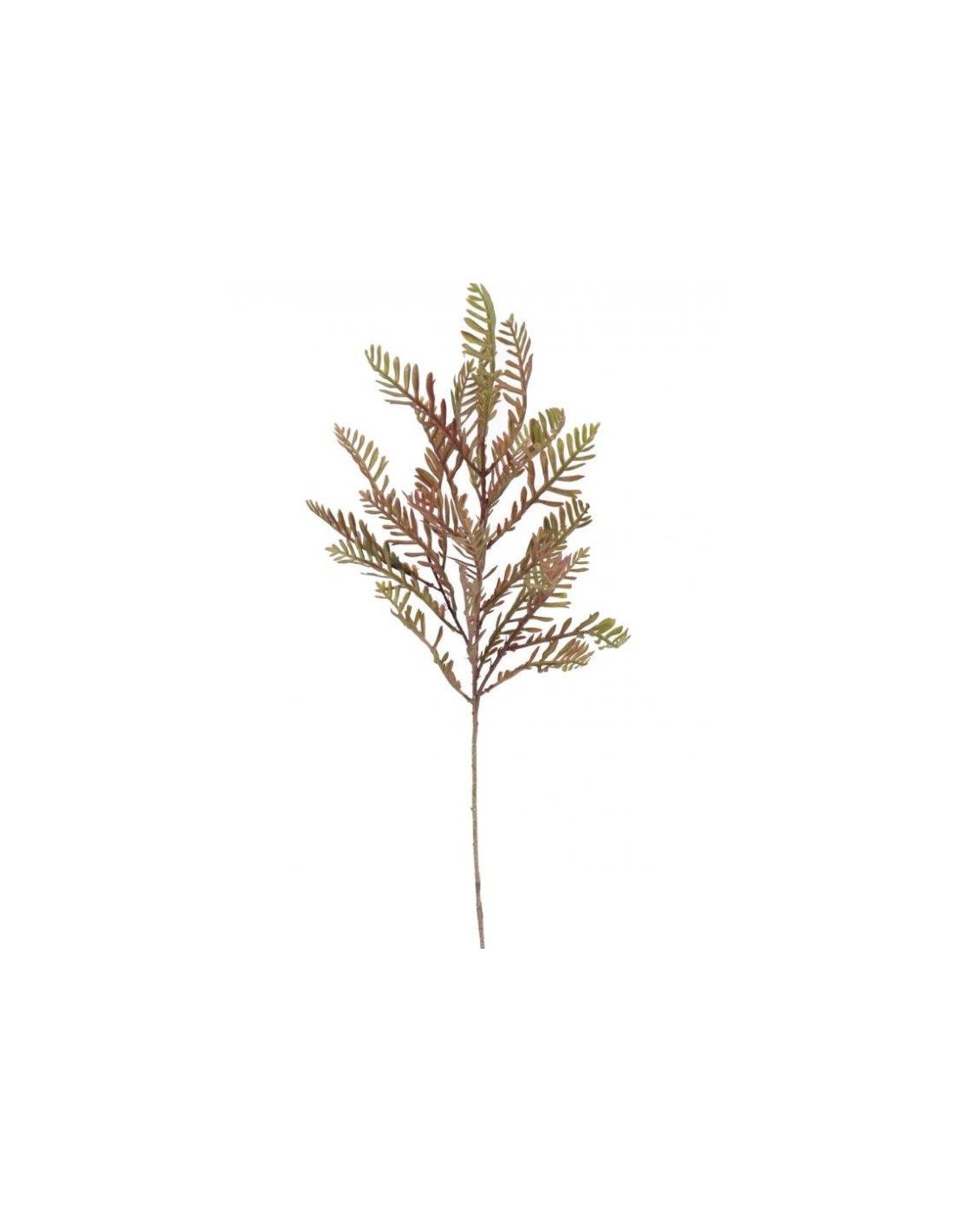 LAVANDULA 7224 su TreG Ingrosso