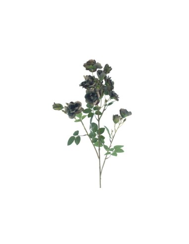 ROSITA CRIMSON HERITAGE 9555 ASSORTITO su TreG Ingrosso