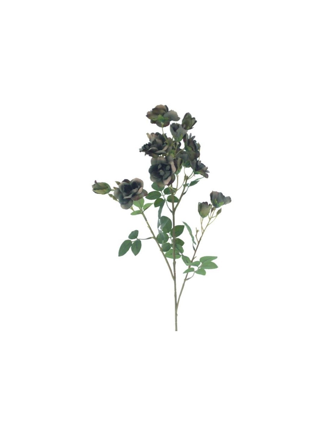 ROSITA CRIMSON HERITAGE 9555 ASSORTITO su TreG Ingrosso