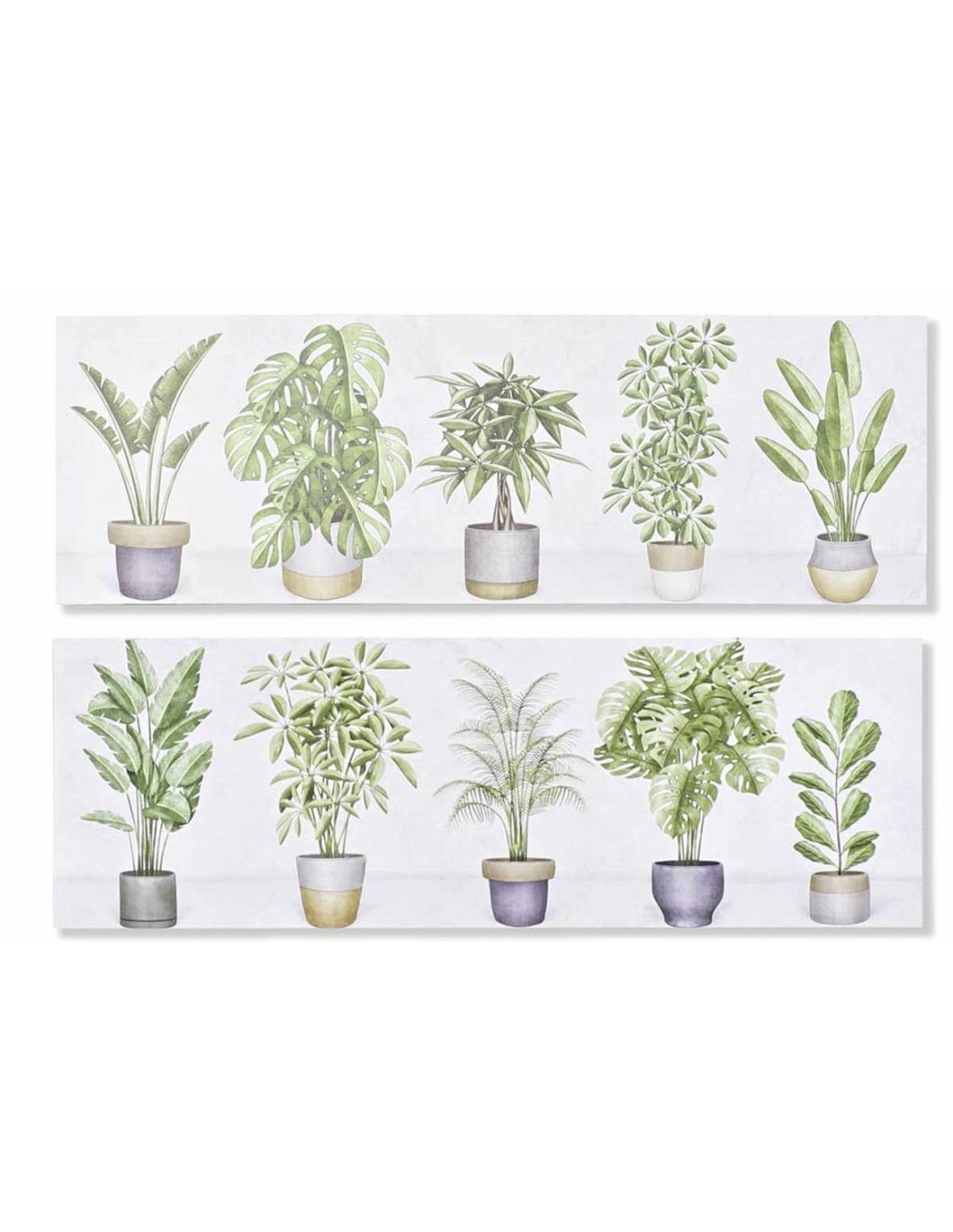 QUADRO TELA CU193744 PIANTE 90X30CM ASSORTITO su TreG Ingrosso