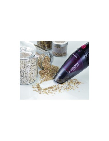 ASPIRABRICIOLE 2474 WET DRY 400ML 3,6V su TreG Ingrosso