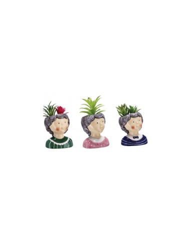 PIANTA GRASSA 82305 CON VASO 9X8X15CM ASSORTITO su TreG Ingrosso