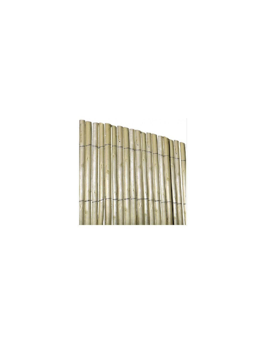 ARELLA 611/92 CINA 2X3MT PREMIUM su TreG Ingrosso