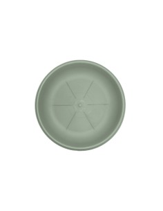 SOTTOVASO 26104 24CM SALVIA su TreG Ingrosso