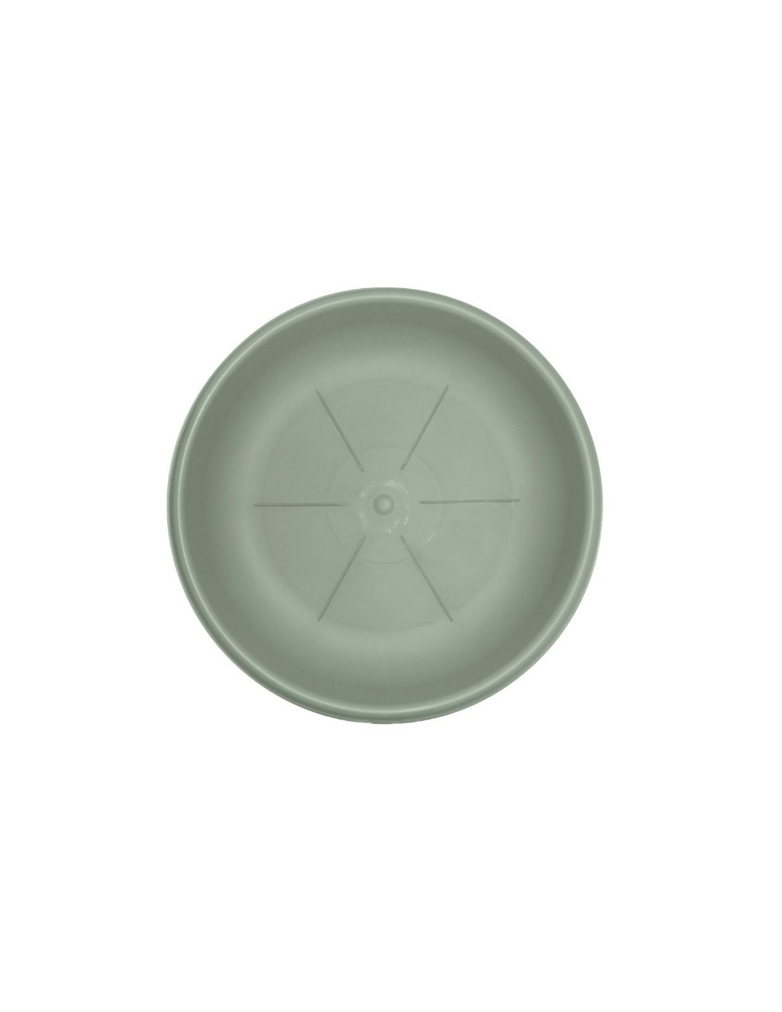 SOTTOVASO 26104 24CM SALVIA su TreG Ingrosso
