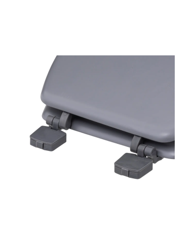 SEDILE WC 116804 COLORAMA GRIGIO su TreG Ingrosso