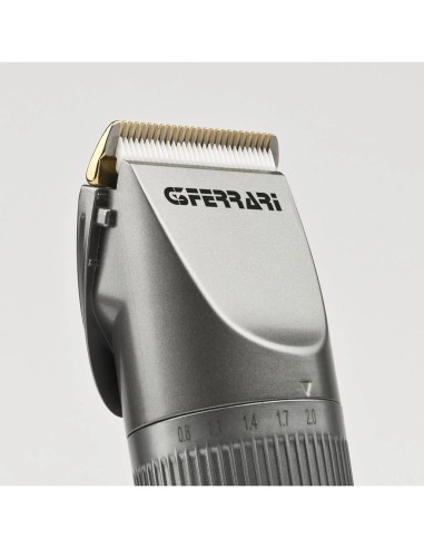 TAGLIABARBA/CAPELLI G30049 RICARICABILE su TreG Ingrosso