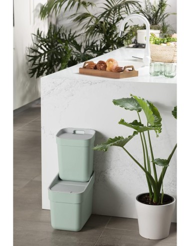 PATTUMIERA MENTA 10LT READY TO COLLECT