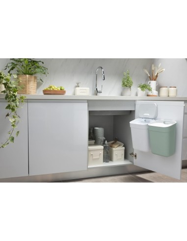 PATTUMIERA MENTA 10LT READY TO COLLECT