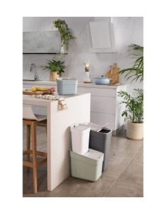 PATTUMIERA MENTA 20LT READY TO COLLECT