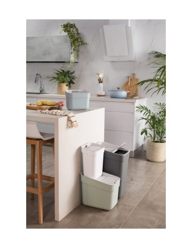 PATTUMIERA MENTA 20LT READY TO COLLECT