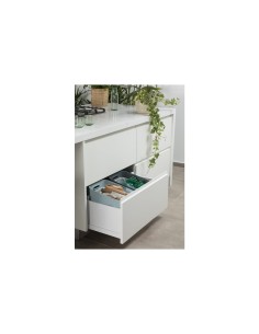 PATTUMIERA MENTA 20LT READY TO COLLECT