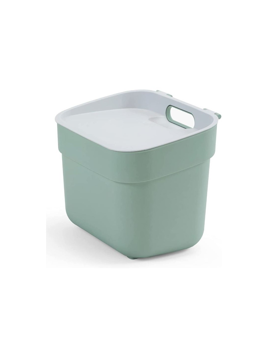 PATTUMIERA MENTA 5LT READY TO COLLECT