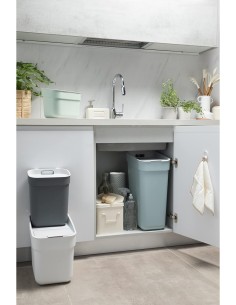 PATTUMIERA MENTA 5LT READY TO COLLECT