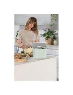 PATTUMIERA MENTA 5LT READY TO COLLECT