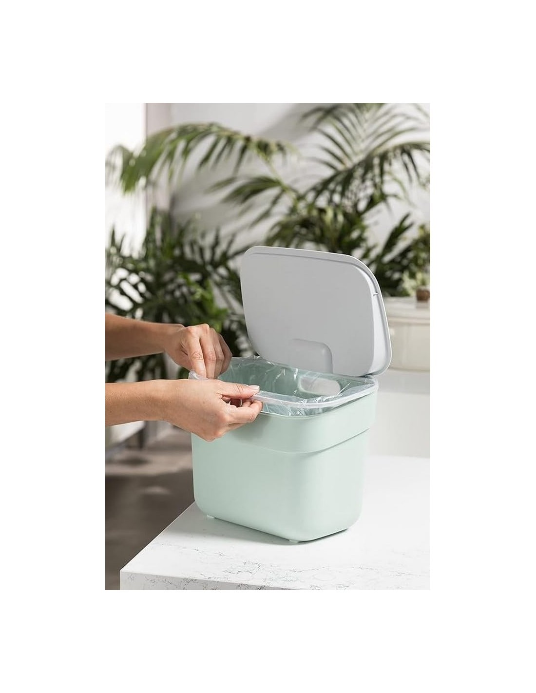 PATTUMIERA MENTA 5LT READY TO COLLECT