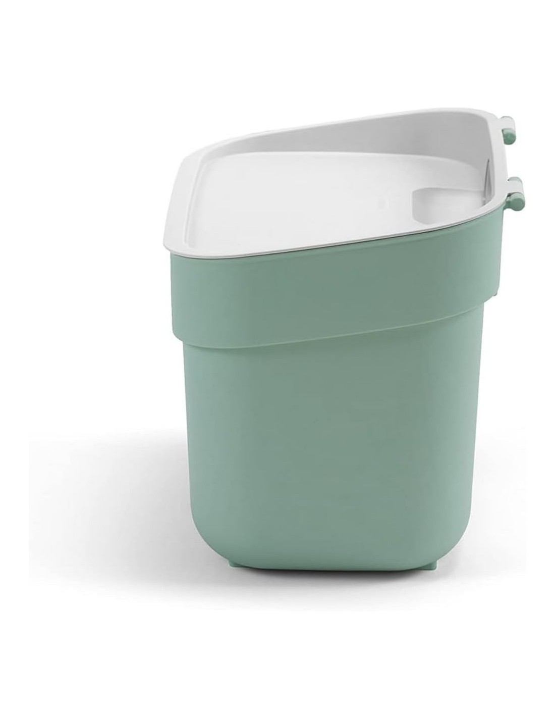 PATTUMIERA MENTA 5LT READY TO COLLECT