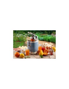 SPREMIAGRUMI 413 VINTAGE AZZURRO CON LEVA su TreG Ingrosso